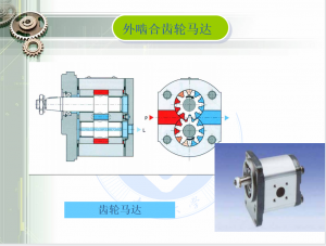 外嚙合齒輪泵和齒輪馬達(dá)